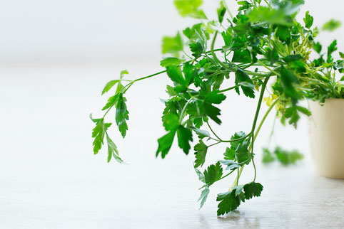 482x322_LivingLendlease_parsley.jpg