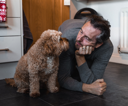 Rent happy in London with your fur babies Image