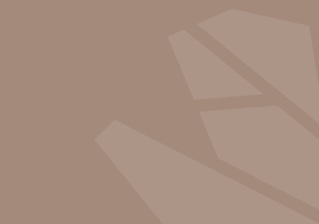 LL12158 PCE WebText bg box.jpg