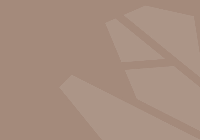 LL12158 PCE WebText bg box.jpg